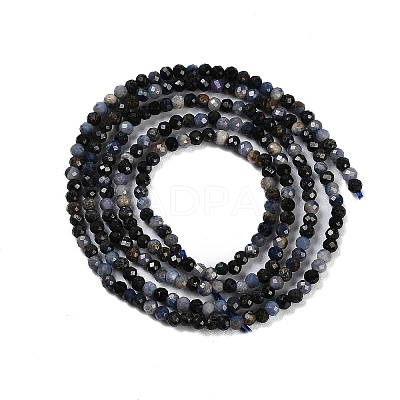 Natural Sapphire Beads Strands X-G-P553-G07-01-1