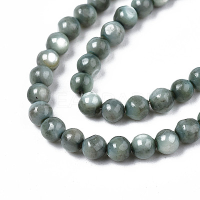 Natural Freshwater Shell Beads Strands X-SHEL-N003-24-B01-1