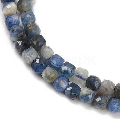 Natural Kyanite Beads Strands G-M092-C01-02-1