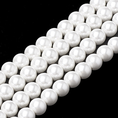 Shell Pearl Beads Strands X-BSHE-S301-8mm-04-1