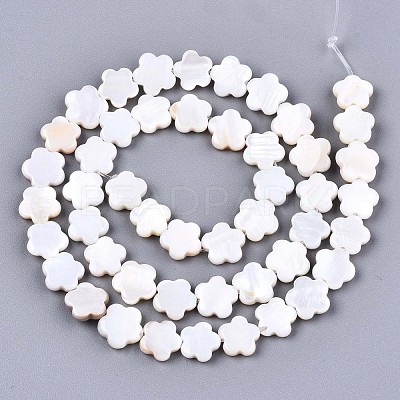 Natural Freshwater Shell Beads Strands SHEL-S276-111-1