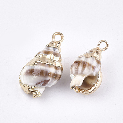 Electroplate Spiral Shell Pendants SSHEL-S262-20-1