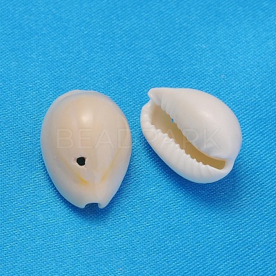 Natural Cowrie Shell Beads BSHE-S056-1