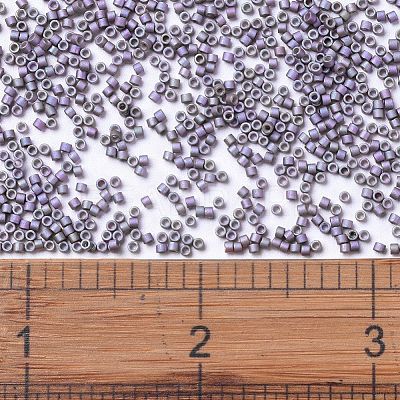 MIYUKI Delica Beads SEED-X0054-DB1065-1