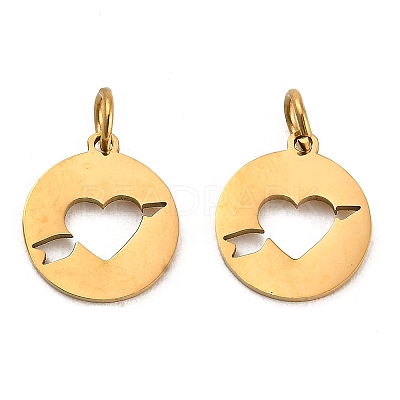 304 Stainless Steel Charms STAS-D050-07G-01-1