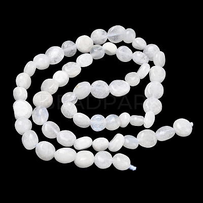 Natural Rainbow Moonstone Beads Strands G-Q961-27-1
