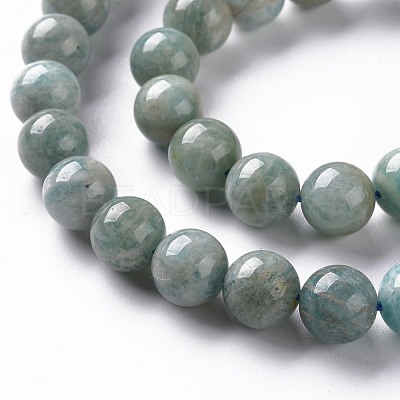 Natural Amazonite Beads Strands G-S333-8mm-005-1