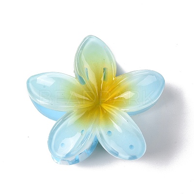 Plastic Claw Hair Clips OHAR-P020-08-1
