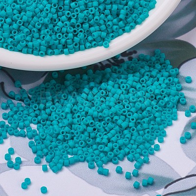 MIYUKI Delica Beads SEED-J020-DB0793-1