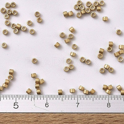 MIYUKI Delica Beads X-SEED-J020-DB1153-1