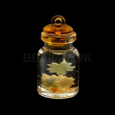 Luminous Plastic Pendants KY-WH0048-14A-1
