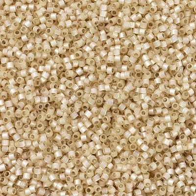 MIYUKI Delica Beads SEED-JP0008-DB0621-1