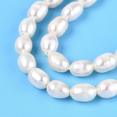 Natural Cultured Freshwater Pearl Beads Strands PEAR-N024-04-2AB-1