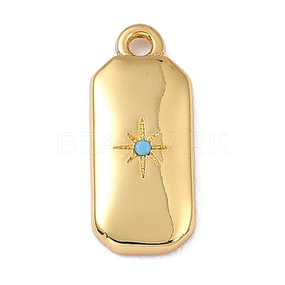 Brass Micro Pave Cubic Zirconia Charms ZIRC-I054-12G-1
