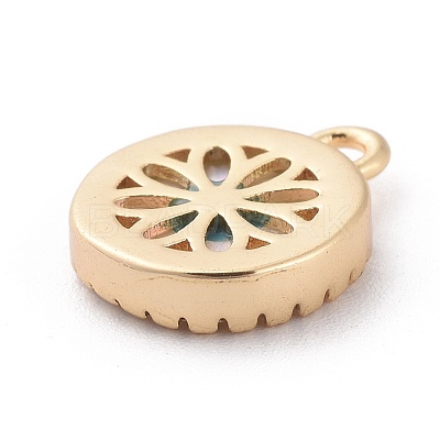 Brass Pendants X-KK-K209-03G-NF-1