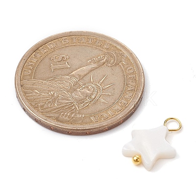 Natural Freshwater Shell Pendants PALLOY-JF02416-02-1