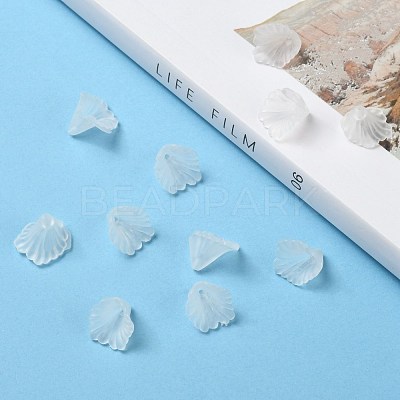Transparent Acrylic Beads X-PL622-9-1