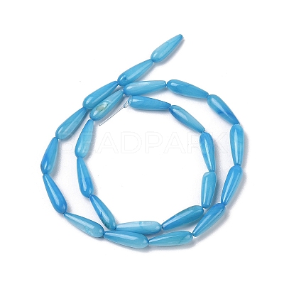 Natural Freshwater Shell Beads Strands SHEL-A004-03C-1