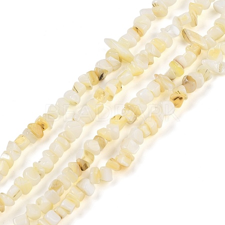 Natural Freshwater Shell Beads Strands BSHE-G036-02-1