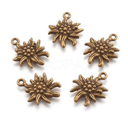 Tibetan Style Alloy Pendants TIBEP-A113357-AB-FF-1