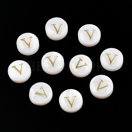 Natural Freshwater Shell Beads SHEL-N036-01V-1