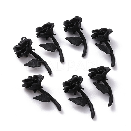 Spray Painted Alloy Pendants LS-FIND-G030-06-1