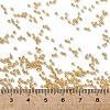 TOHO 15/0 Round Beads X-SEED-TR15-0103B-4