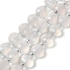 Natural White Agate Beads Strands G-B153-B02-2