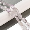 Natural Amethyst Beads Strands G-B077-E04-01-2