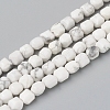 Natural Howlite Beads Strands G-I270-09-1