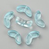 Transparent Handmade Lampwork Beads LAMP-CJC0012-01G-1