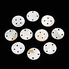 Natural Freshwater Shell Buttons SHEL-N032-216-2