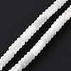 Natural Trochid Shell/Trochus Shell Beads Strands SHEL-F002-03-1