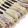 10 Skeins 6-Ply Polyester Embroidery Floss OCOR-K006-A08-2