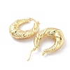 Brass Hoop Earrings EJEW-H301-01G-02-2