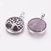 Natural Amethyst Pendants G-E388-09P-1