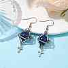 Natural Lapis Lazuli Dangle Earrings EJEW-JE05600-02-2