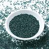 MIYUKI Delica Beads X-SEED-J020-DB0276-2