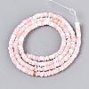 Natural Trochid Shell/Trochus Shell Beads Strands SSHEL-N040-21F-2