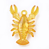 Transparent Acrylic Pendants TACR-S149-02-3