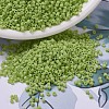 MIYUKI Delica Beads SEED-J020-DB0733-1