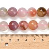 Natural Agate Beads Strands G-F814-A02-12mm-5