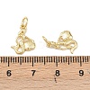 Brass Pendants KK-Z132-03G-03-3