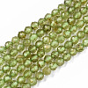 Natural Peridot Beads Strands G-S362-076-1