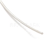 32.8 Foot 925 Sterling Silver Wire STER-D002-0.6mm-4