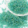 6/0 Round Glass Seed Beads SEED-J011-F6-178-1