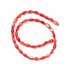 Natural Freshwater Shell Dyed Beads Strands SHEL-M018-13-05-2