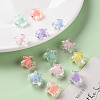 Transparent Acrylic Beads X-TACR-S152-02A-6