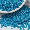MIYUKI Round Rocailles Beads SEED-X0055-RR0413-1