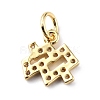 Brass Micro Pave Cubic Zirconia Charms ZIRC-F131-16G-04-2